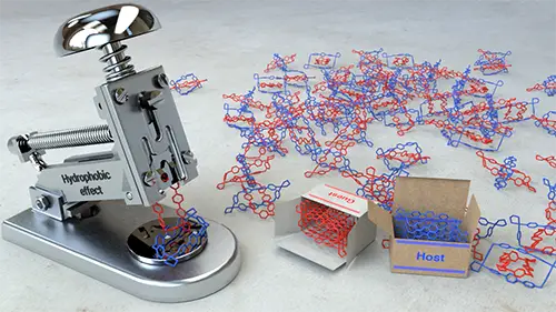 2019Chemistry%20Iago