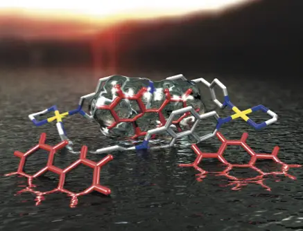 2019Chemistry%20Iago