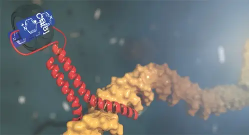 2019Chemistry%20Iago