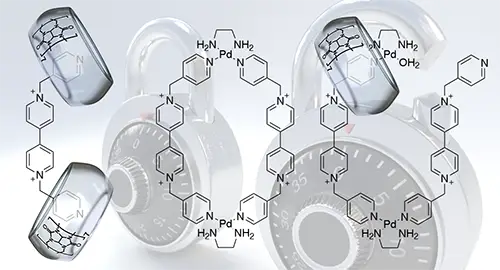 2019Chemistry%20Iago