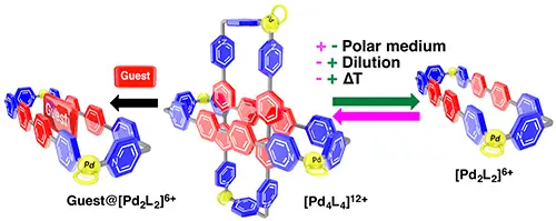 2019Chemistry%20Iago
