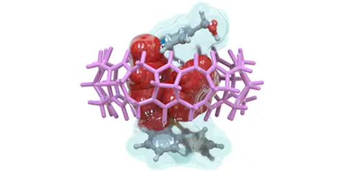 2019Chemistry%20Iago